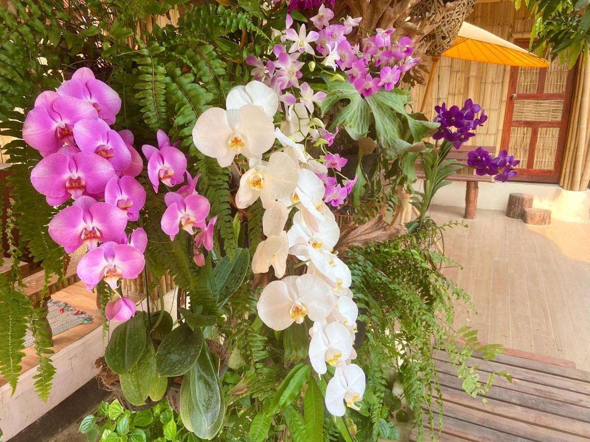 Ban Rai Jai Chaem - Spa Cafe & Homestay Экстерьер фото
